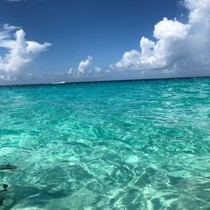 Meet your Posher, Tara